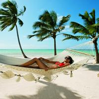 Отзыв от Алла - DTV виза